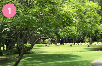 ゴールドコースト　クーリバダウンズチャペル