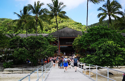 アイランドウェディング